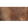Beck amber mate 6x25