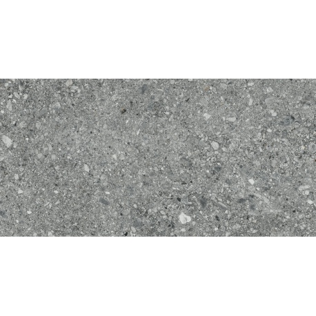 Ceppo coal 60x120