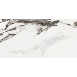 Calacatta Monet 60x120
