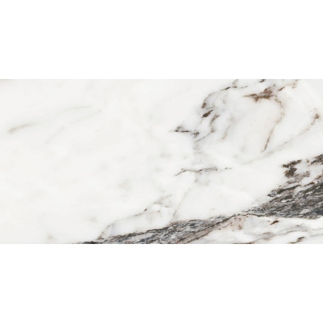 Calacatta Monet 32x62,5