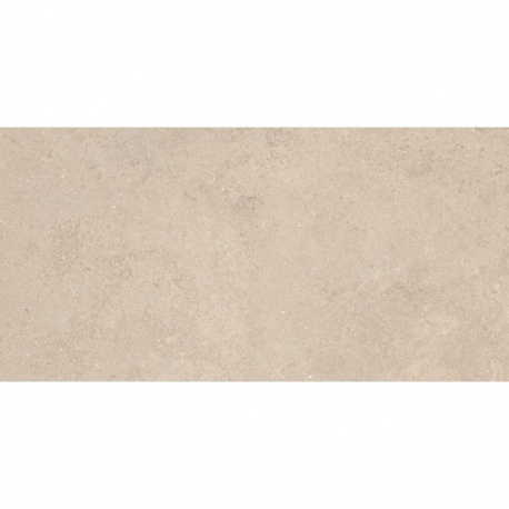 KYOTO TAUPE 60x120