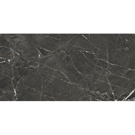 COLEMANITE STONE DARK 60x120