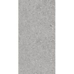 BERGAMO GRIS 60x120