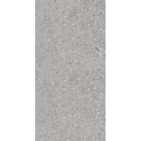BERGAMO GRIS 60x120