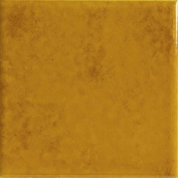 GENUINE AMBER 10X10